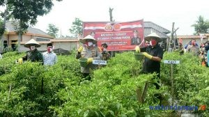 Tinjau Pangan, Kapolda Dan Danrem 043 Gatam Kunjungi Tubaba