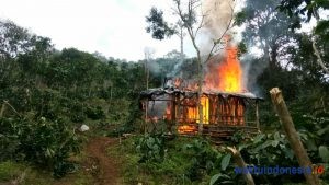 Empat Pondok Pembalak Liar Dibakar UPTD Wan Abdul Rahman