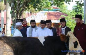 Kada Lambar Shalat EidalAdha di Lokasi Berbeda, Bupati Parosil Serahkan 8 Ekor Sapi untuk 2 Kecamata ini
