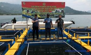 Dukung Ketahanan Pangan Ditengah Covid-19, Danbrigif 4 Marinir/BS Inisiasi Budidaya Keramba Jaring Ikan