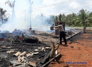 Pabrik Pengolahan Serabut Kelapa di Ngambur Terbakar