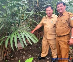 Di Tengah Gempuran 2 Bencana, Sekda Karo Ajak warga Budidaya Salak