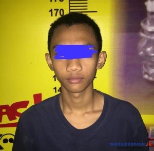 Satu Anak Dibawah Umur Diamankan Satresnarkoba Polres Pesawaran
