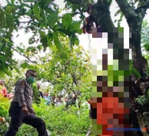 Geger! Seorang Wanita Ditemukan Tergantung di Pohon Jambu