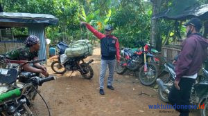 Terungkap! 5 Fakta di Balik Konflik Satwa dan Manusia di BnS Lambar