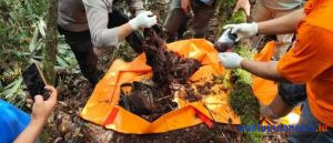 Penemuan Tengkorak Mr X Dihutan Register Desa Kuta Mbelin Lau Baleng