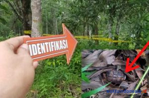 Geger! Penemuan Granat di Waykanan, Polisi: Masih Aktif