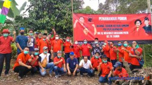 Peringati Milad Ketum Megawati, PDIP Pesawaran Tanam Ratusan Pohon