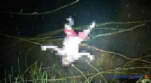 Balita itu Minta Uang Jajan Kemudian Ditemukan Meninggal Mengambang, Ini Kata Polisi