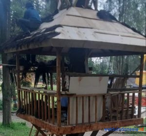 2 Tahun Anggaran Proyek tak Kunjung Rampung, LAMI Karo bakal Lapor Kejati