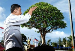 Kontes Karya Seni Tertinggi Bonsai dan Pertama di Swarnadwipa bakal Digelar di Lambar
