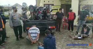 Beraksi di Lambar, 3 Pria asal OKU Selatan Ditangkap Polisi Lambar, Didoorr!