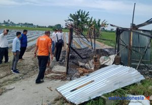 Gudang Pupuk di Deliserdang Terbakar, Pemilik Curigai Ulah Peminta ‘Uang Keamanan’