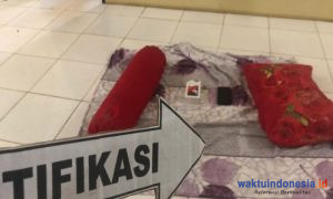 Akhirnya, Terduga Cabul Iming-Iming Uang itu Dicokok Polisi