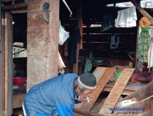 Tanam Pisang di TNBBS, 13 Rumah Diamuk Kawanan Gajah