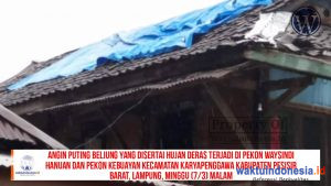 VIDEO: Selain Luluhlantakan SDN 88 Krui, 17 Rumah Turut Disapu Angin Puting Beliung