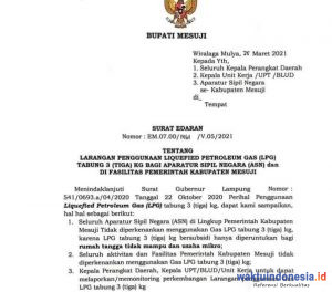 Ingat! ASN Mesuji Dilarang Pakai Gas Elpiji 3Kg, Bupati Saply Ungkap Peruntukannya