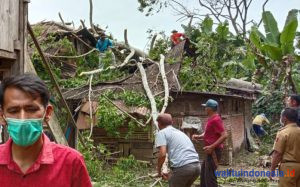 Rumah Warga Kembahang Tertimpa Pohon, Begini Respons Dissos Lambar