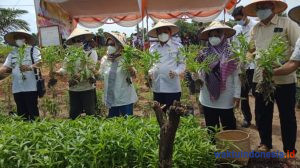 Diguyur Dana Jumbo! 7 KWT di Mesuji Terima Bantuan Rp385 Juta