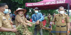 Sekkab Akmal Panen Perdana Program Pangan Mandiri
