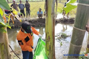 Geger! Sesosok Mayat Ditemukan di Selokan di BnS