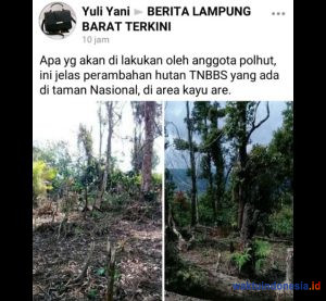 Netter Unggah Hutan Dirambah di FB, Ini Kata Kares TNBBS Suoh
