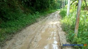 Pemkab Pesawaran Segera Bangun Jalan Desa Pagar Jaya