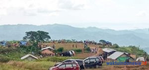 Kades di Pesawaran Pakai DD Ratusan Juta Bangun Fasilitas di Lahan PT MMF
