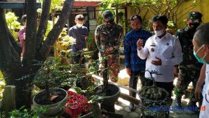 Pengurus Perkumpulan Bonsai Pesibar Dikukuhkan Wabup Zulqoini, Ini Mereka