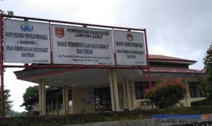 Jadi Smart Village 7 Pekon di Lambar Diguyur Rp210 Juta, Apakah Desamu?