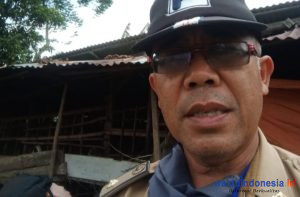 13 Petugas Siap Periksa Hewan Kurban di Lambar