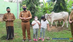 Bupati Dendi Serahkan Hewan Qurban 1 Ekor Sapi Di Islamic Center