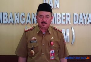 Hitungan Jam Sebelum Ditutup Pendaftar CPNS dan PPPK di Lambar Overload, Ini Jumlahnya