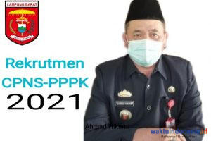 Final! Pendaftar CPNS-PPPK Lambar Capai 6.245 Peminat, Ini Waktu Pengumuman