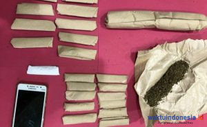 Menyamar Jadi Pembeli, Polisi Ringkus 4 Pelaku Pengedar Ganja
