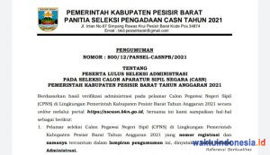 1.738 Pendaftar Dinyatakan Lulus Seleksi Administrasi CASN Pesibar 2021, Cek di Sini