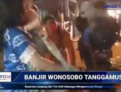 Banjir Bandang Terjang 5 Desa di Wonosobo: Basarnas Evakuasi Warga