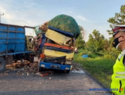 Hindari Motor, Dua Colt Diesel Ringsek Tabrakan di Simpangpematang