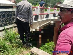 Sesosok Mayat Anonim Ditemukan Tergantung di Bawah Jembatan Kali Buaya Mesuji
