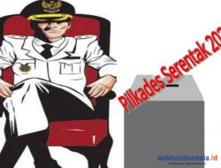 4 Petahana Pilkades di Simpang Pematang Kompak Nomor 2, Ada yang Terpaksa Dilawan Istri