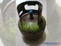 Soal Gas Elpiji 3Kg Langka dan Dijual Rp35 Ribu, Ini Kata Disperindagkop-UKM Subulussalam