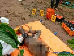 Mayat Dalam Karung, Satreskrim Lambar : Diduga Korban Pembunuhan