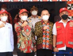 Pengurus PMI 11 Kecamatan di Lambar Dijadwal Dilantik