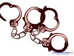 Terciduk Membawa Barang Terlarang, 2 Pemuda Tegineneng Ditangkap Polisi