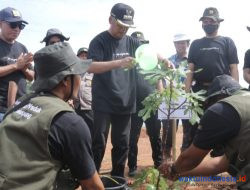 5.000 Pohon di Antaranya Zaitun dan Tien Ditanam di Sekitar Bendungan Waysekampung