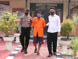 Polisi Ringkus Pelaku Pembalakan Liar Di Pringsewu