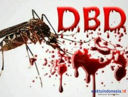 Sebab DBD, 221 Warga Terjangkit Dan 2 Meninggal Dunia Di Pesawaran