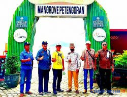Mangrove Petengoran Layak Jadi Wisata Percontohan Di Pesawaran