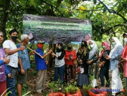 Momentum HPN 2022, IKWI Pesawaran Bagikan Ribuan Bibit Bagi Petani