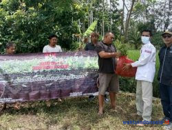 HUT Ke-1, DPP BANKI Bagikan Ribuan Bibit Kepada Petani Di Pesawaran